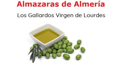 Almazara Virgen de Lourdes - Aceite de Oliva Virgen Extra - Productos de Almeria Almazaras de Almería los sabores de AlmeríoaSabor