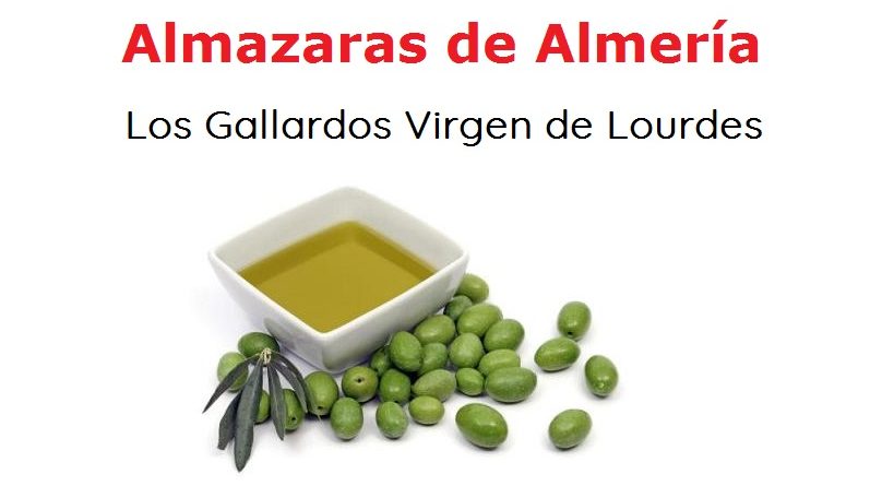Almazara Virgen de Lourdes - Aceite de Oliva Virgen Extra - Productos de Almeria Almazaras de Almería los sabores de AlmeríoaSabor