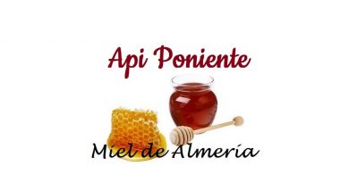 Api-poniente-miel-de-almeria-AlmeriaSabor